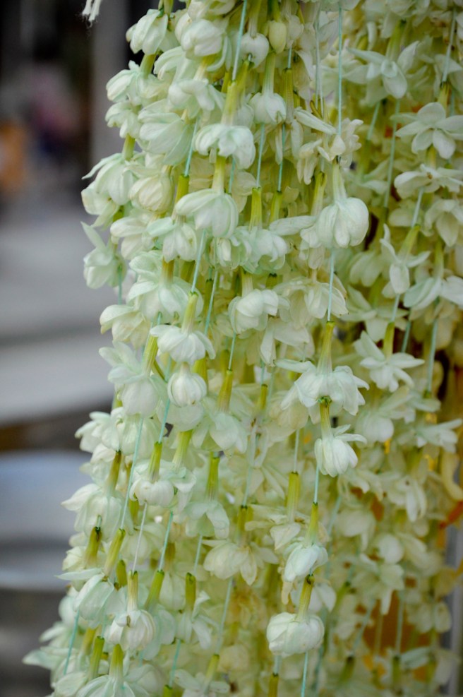 Jasmine blossoms were everywhere - hanging on rear-view mirrors, given as offerings, sold by the armful on the streets 