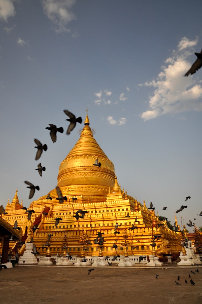 Shwezigon Paya in Nyaung U. I stayed in this village and it was beautiful! I