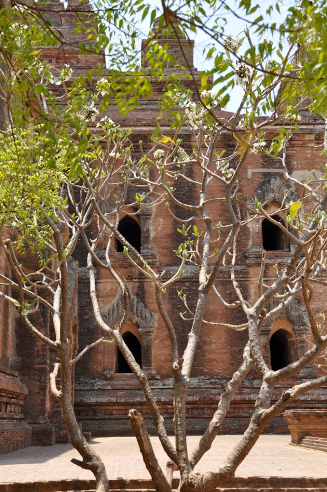Dhammayan Gyi Temple